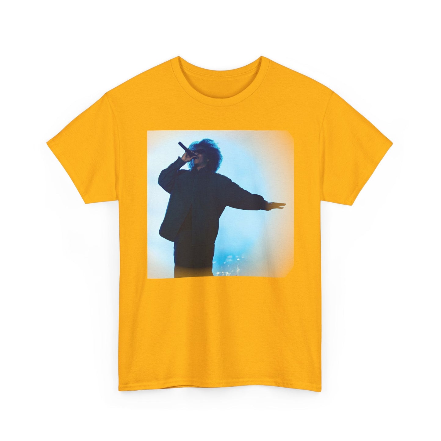 Jay - Z Roots Picnic 2026 Photo Tee - Lasercraft Design