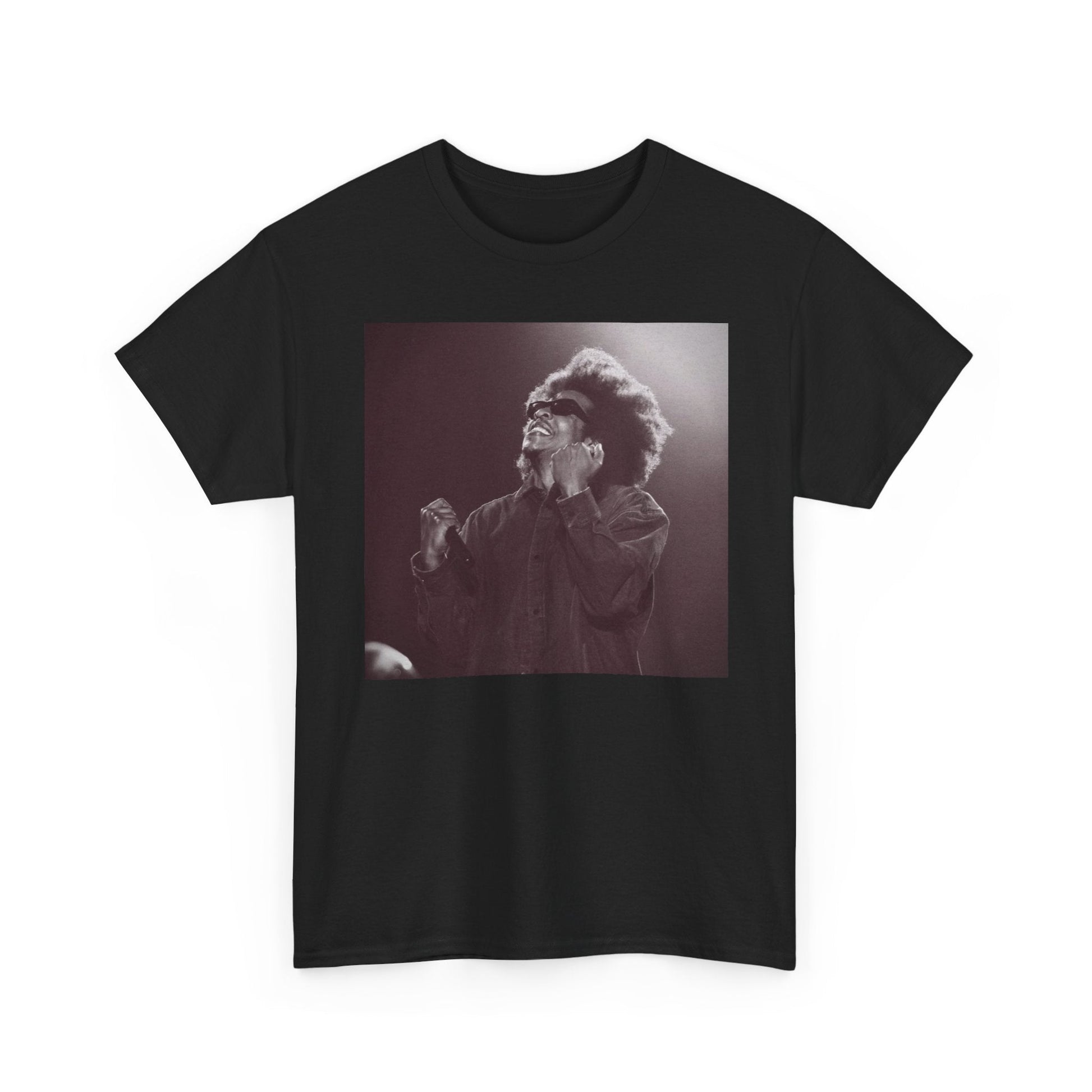 Jay - Z Roots Picnic 2026 Photo Tee - Lasercraft Design