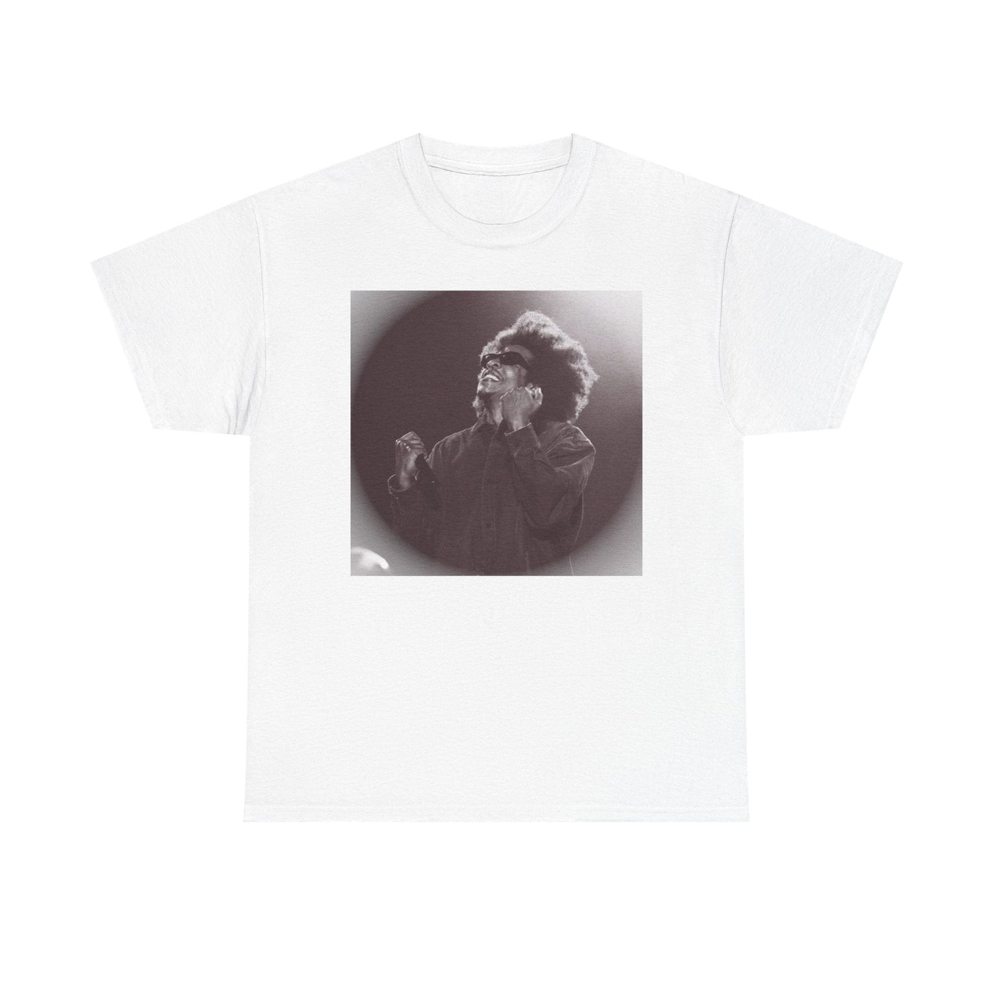 Jay - Z Roots Picnic 2026 Photo Tee - Lasercraft Design