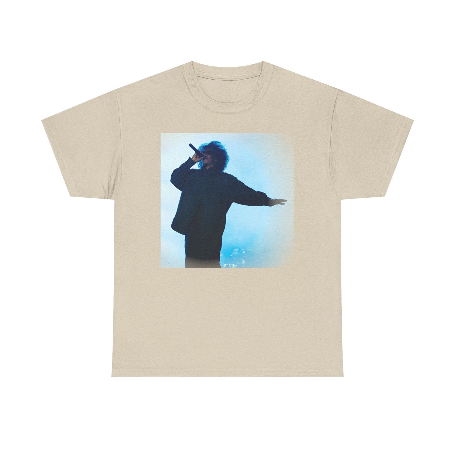Jay - Z Roots Picnic 2026 Photo Tee - Lasercraft Design