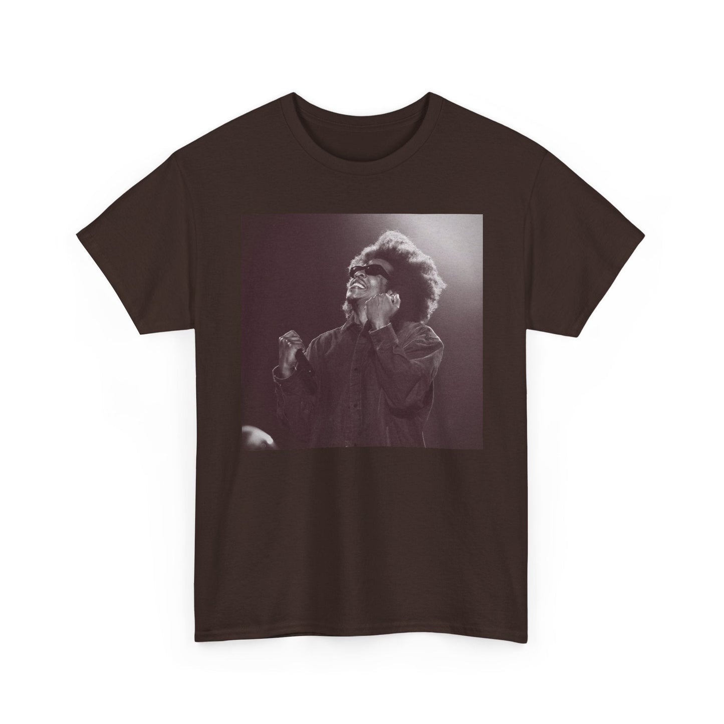 Jay - Z Roots Picnic 2026 Photo Tee - Lasercraft Design