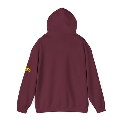 Wilberforce University Athletics Hoodie – Vintage Mascot College Sports Sweatshirt - Lasercraft Design